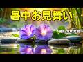 【暑中見舞い動画】渓流と花で涼を届けるご挨拶 LINEで送る夏の無料動画