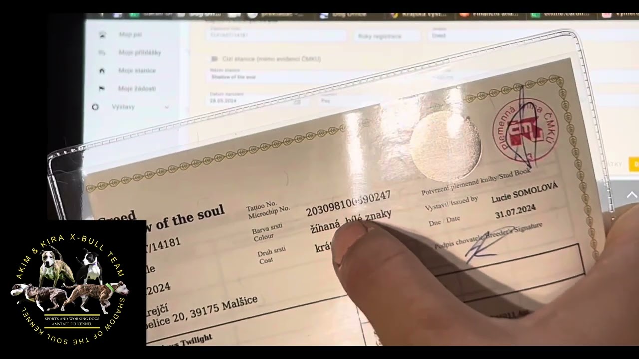 DOGOFFICE.CZ - registrační systém pro české výstavy