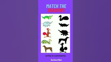 Match the shadows of animals in 7 seconds #automobile #find #shorts #youtubeshorts