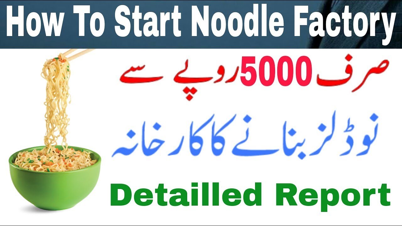 Noodle Menufacturing Business in Urdu/Hindi YouTube