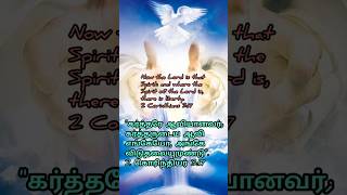 #divinemercy #dailybibleverse #divinemercyprayerintamil #walkwithjesus