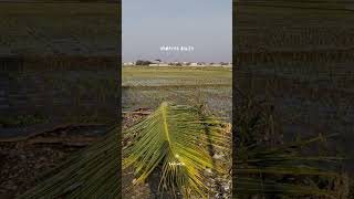 Doel Sumbang  Bagja Jeung Cinta  Potongan Lirik 