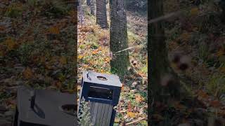 Örümceğin Ağ Örmesine Şahit Oluyoruz