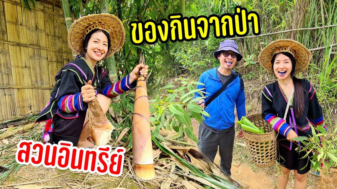 สวนชนเผ่าอาข่ามีทุกอย่างให้เลือกสรรพืชผักผลไม้แปลกตาเตรียมวัตถุดิบทำเมนูเด็ด #วิถีฤดูฝน42