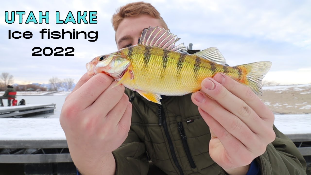 Utah Lake Ice Fishing December 2022 Report and Urban stream fishing