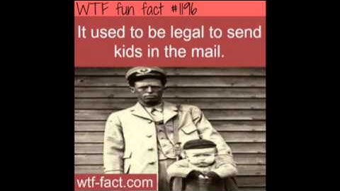 Wtf fun facts