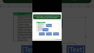 Create a Professional Org Chart in Excel in 2 Minutes!#ExcelTips #OrgChart #ExcelPioneer #ExcelPro
