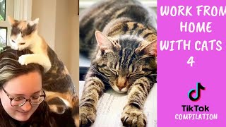 Work from home with cats part 4 #tiktok compilation l Kerja Dari Rumah l Ohhooman by Oh Hooman 12,657 views 2 years ago 3 minutes, 54 seconds