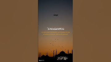 تلاوه خاشعه "أمن هو قانت اناء الليل ساجدا وقائما يحذر الاخره ويرجوا رحمه ربه" قران كريم