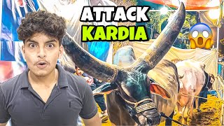 Chand Bail Ny Attack Kardia 😱 || Crazy Gang 🔥