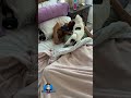 My NEW morning routine. 