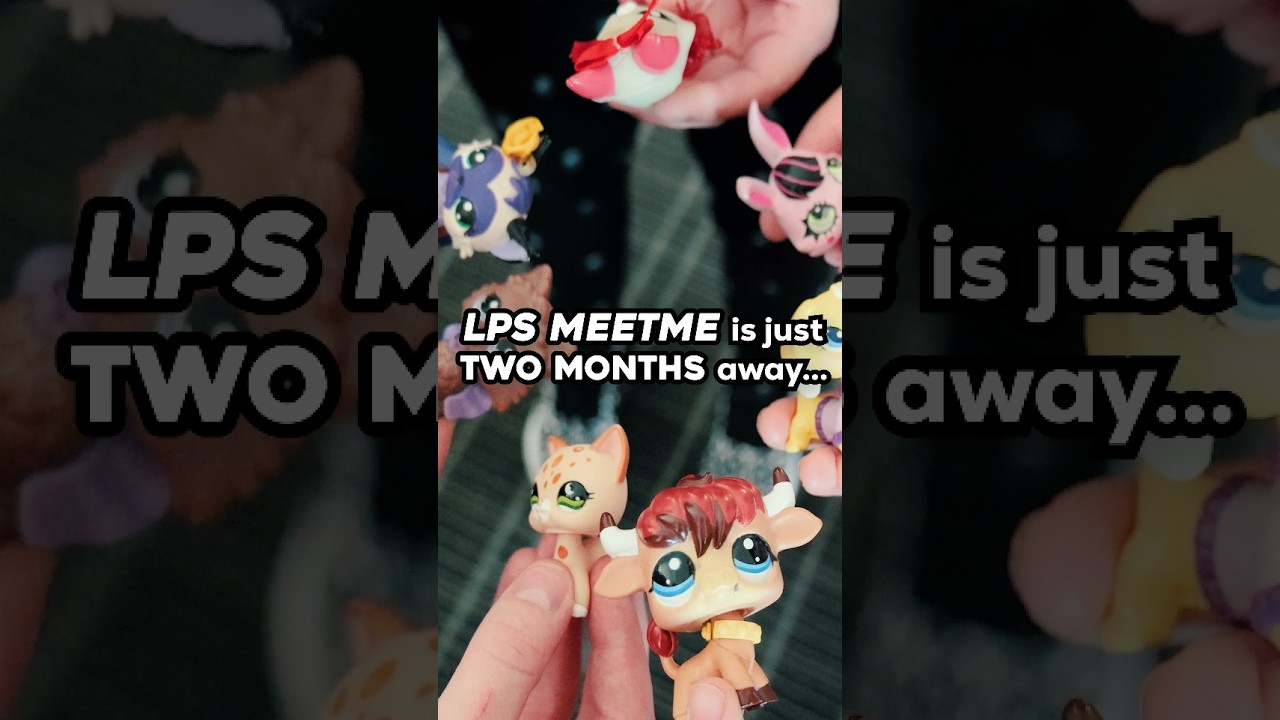 LPS MeetMe 2025 