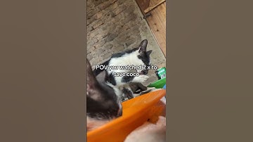 For any support click the link in our channel description to donate. All pledges are appreciated