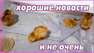 Хорошие новости, и не очень...