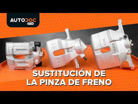 Сómo cambiar la pinza de freno del coche [VÍDEO TUTORIAL DE AUTODOC]