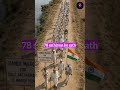 Dandi March — Ek Mutthi Namak Ne British Samrajya Ko Hila Diya! 🇮🇳 | ft. HistoryAI #seekho #shorts