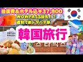 【韓国旅行🇰🇷】WOWPASS紛失😱｜搭乗ギリギリ💦｜最終日まで遊び尽くす｜大人気💖モチモチ大福｜朝の靴卸市場｜立地抜群ホテル｜初夢フェア｜ホテル・飛行機指定なし｜親子旅行✈️HIS・37,800円