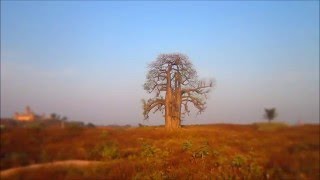 Theme For A Movie : Postcards From India (Miserable Man Documentary) screenshot 5