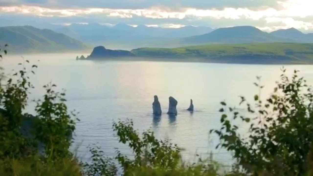 Гранты камчатский край