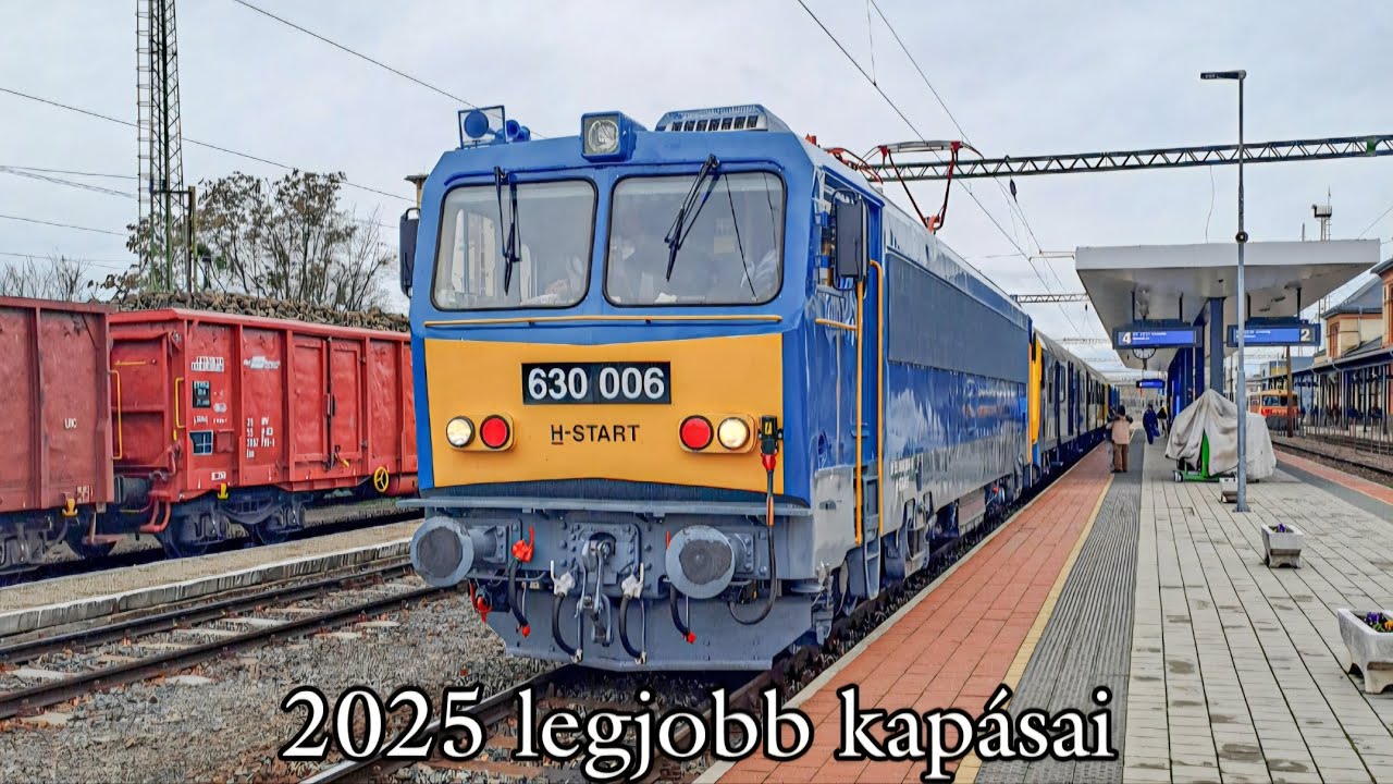 2025 legjobb kapásai | Válogatás az év legjobb képeiből