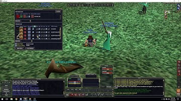 How the Advanced Loot Windows Works in EverQuest