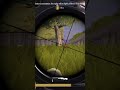 #bgmi #shortsfeed #gaming