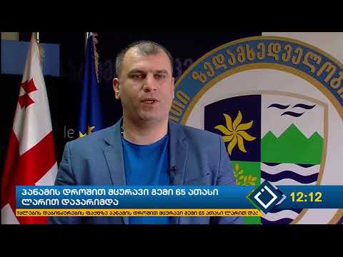 პანამის დროშით მცურავი გემი 65 ათასი ლარით დაჯარიმდა