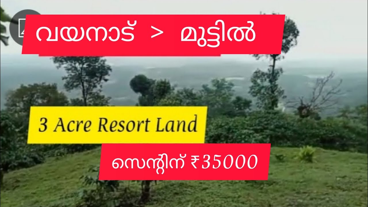 3 Acre Beautiful Mountain View Resort Land For Sale Muttil Wayanad