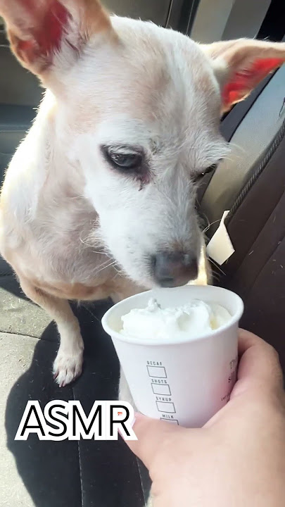 CANELA ASMR!