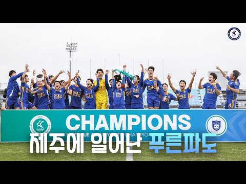🍊제주에 일어난 푸른파도🌊