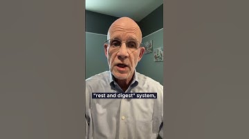 Habits That Heal: How Lifestyle Choices Shape Your Brain