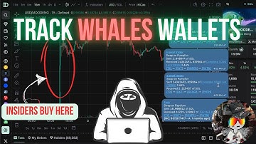 How to track MEMECOINS WHALES WALLETS for copy trading | Hindi