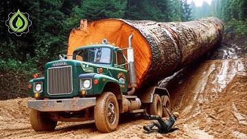 Extreme Dangerous Big Logging Wood Truck Driving Skill | Fastest Chainsaw Cutting Tree Machines #5