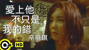 辛曉琪 Winnie Hsin【愛上他不只是我的錯 It