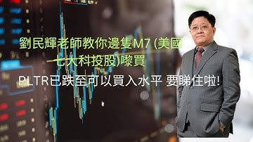 劉民輝老師教你邊隻M7 (美國七大科投股)嚟買 // PLTR已跌至可以買入水平 要睇住啦!