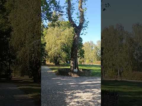 Великий русский поэт