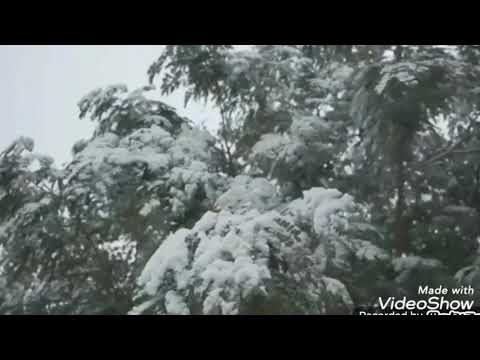 احبيبه ام كذيله راءعه وجميله الف ليله وليله دار السلام 