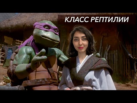 Урок "Класс Рептилии" - ЕГЭ, ЦТ, ЗНО