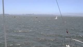 2012 Laser Masters North Americans Day 3 Race 7