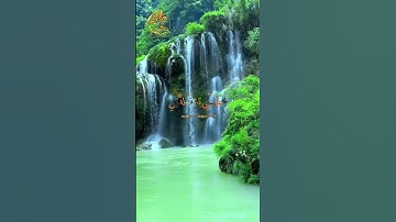 ☘ القرآن الكريم ☘ الذي خلقني فهو يهدين والذي هو يطعمني ويسقين ☘ تلاوة مباركة ☘ القارئ أحمد العجمي ☘