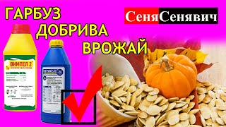 Які добрива використовувати для посіву гарбуза, їх ціна, або "ВИМПЕЛ-2" та "ОРАКУЛ" як альтернатива!