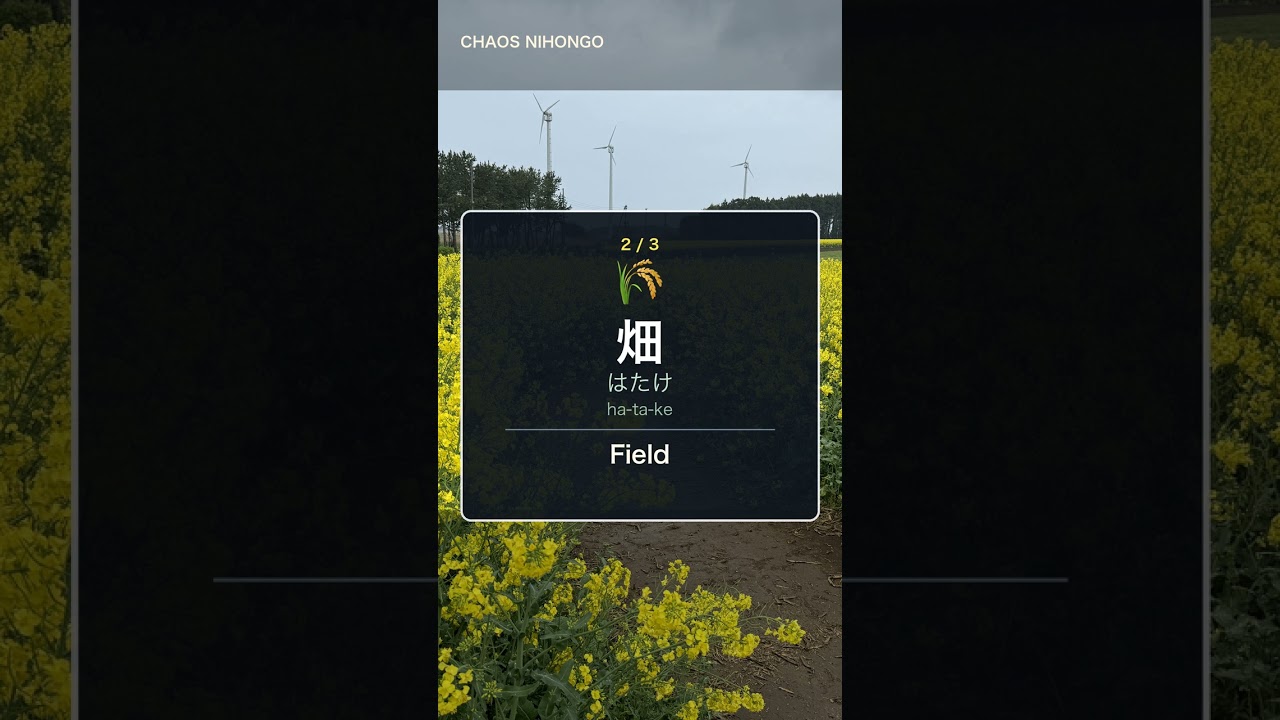 3 Japanese Words from a Yellow Flower Field 🌼🇯🇵 #Shorts - YouTube