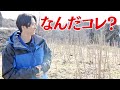 澤夏も???FANTASTICS畑史上最難関問題が登場!