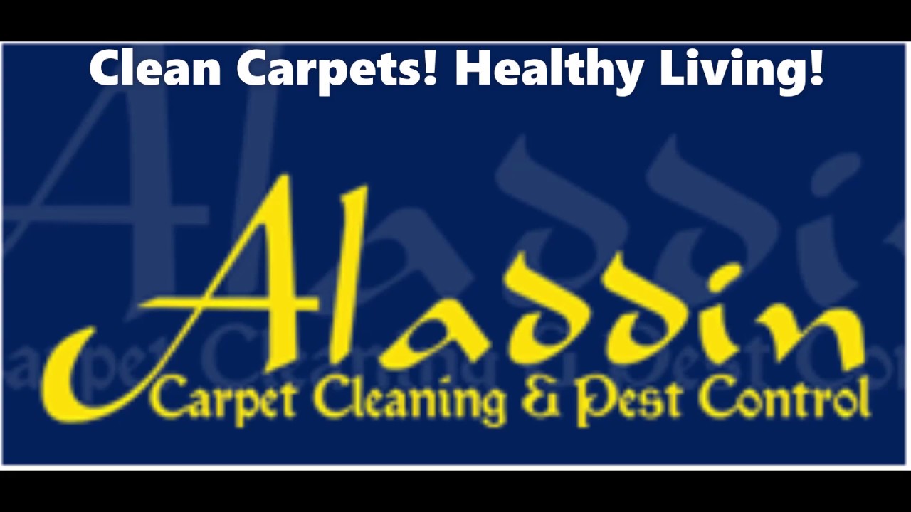 Aladdin Carpet Cleaning and Pest Control in Gladstone YouTube
