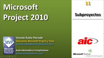 11 - Project 2010 "Subproyectos"