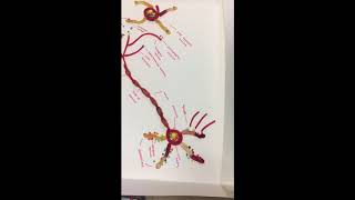 Laina Ishan and Jordan’s Candy Neuron