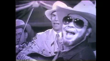 Hank Williams Jr - Tear In My Beer (Official Music Video)