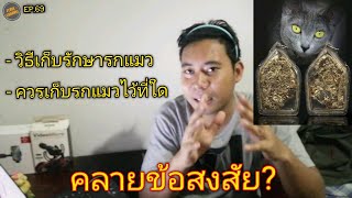 วิธีการเก็บรักษารกแมว FLUKE CHANNEL/EP.69