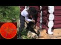  log house repair in norway part 1315  timber dressing slow tv