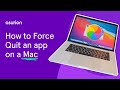 How to Force Quit on a Mac | Asurion